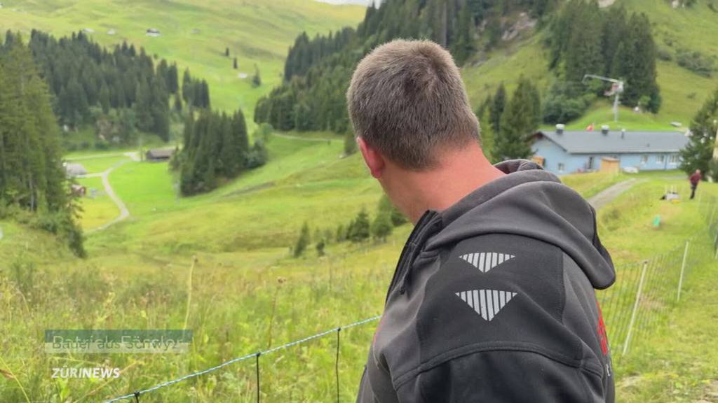 Nach Wolfsrissen im Kanton Schwyz: Bauern verunsichert