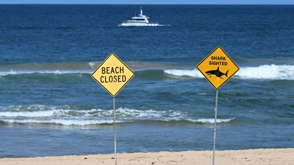 Der Strand ist gesperrt, während ein Polizeiboot den Schauplatz eines tödlichen Haiangriffs am Long Reef Beach absucht. Ein Mann ist tot, nachdem er an den nördlichen Stränden von Sydney von einem großen Hai angegriffen wurde. Foto: Dean Lewins/AAP/dpa
