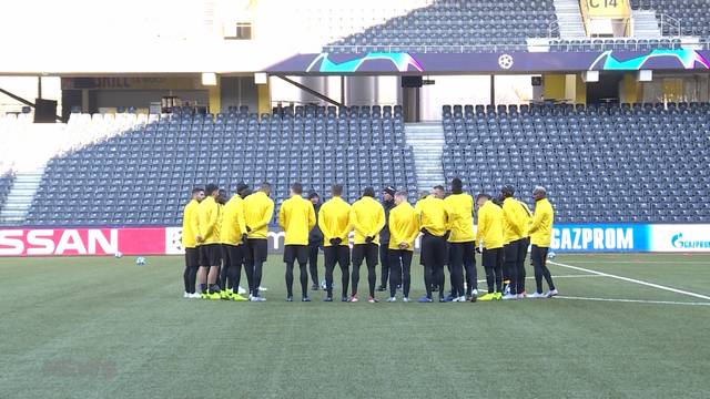 Abschlusstraining der Young Boys vor grossem Spiel