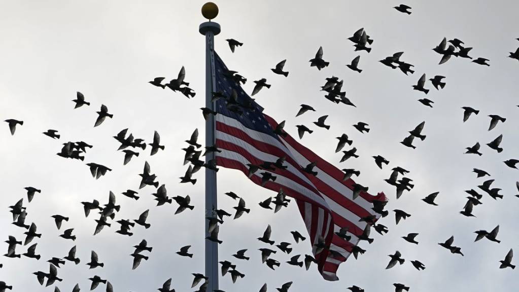 Vögel fliegen an einer US-Flagge vorbei, die über dem Old Executive Office Building auf dem Gelände des Weissen Hauses in Washington weht. Bei einem Treffen am Wochenende hat sich die US-Delegation zu ersten Gesprächen mit den Taliban getroffen.