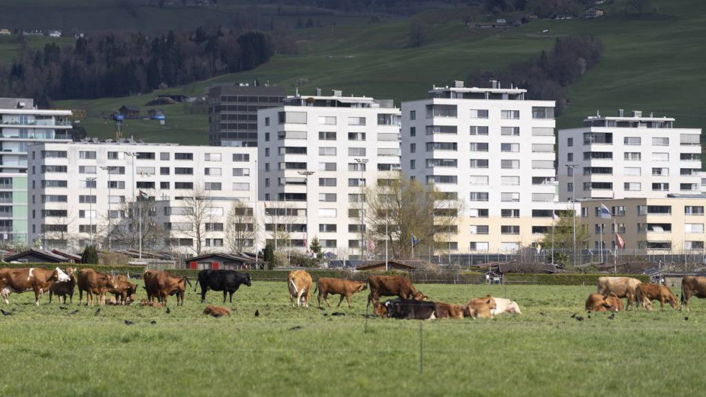 Wohnblocks zwischen Cham und der Stadt Zug: Der Zuger Regierungsrat will mehr für die Erstellung günstiger Wohnungen tun. (Archivaufnahme)