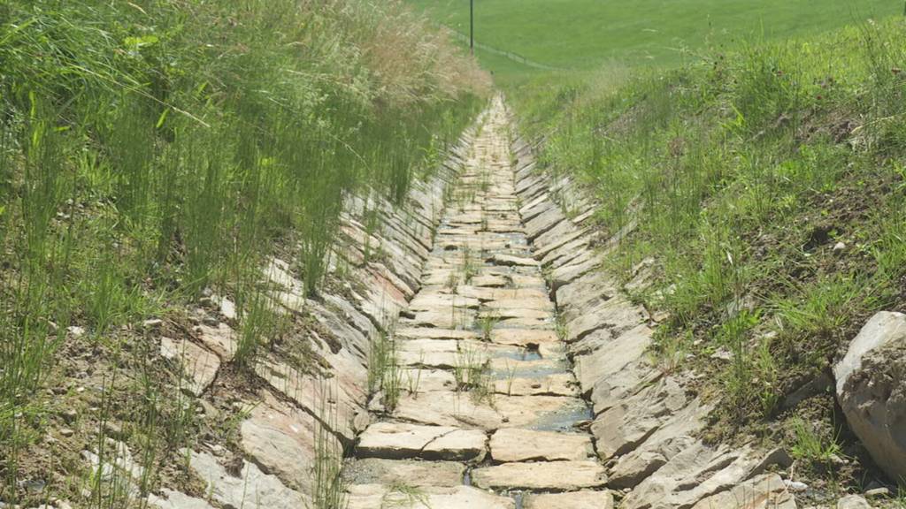 Bäche trocknen aus: Notabfischungen in Appenzell Innerrhoden wegen Hitzewelle