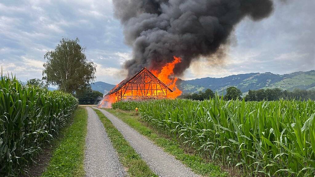 Im Stall war vor allem Holz gelagert worden. Tiere oder Menschen kamen nicht zu Schaden.