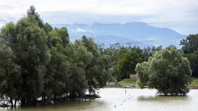 Reussdamm in Hünenberg dürfte Wassermassen standhalten