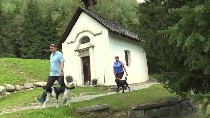  Hunde willkommen / Seltene Tierart mit Jö-Effekt