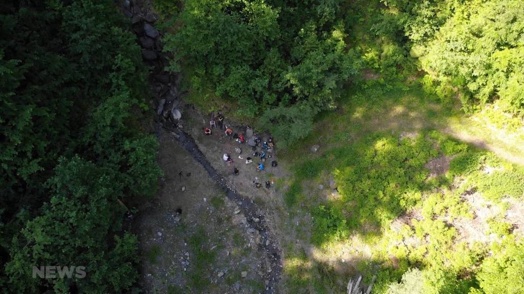 Bergwaldprojekt: Freiwillige helfen im Berner Oberland den Wald zu pflegen