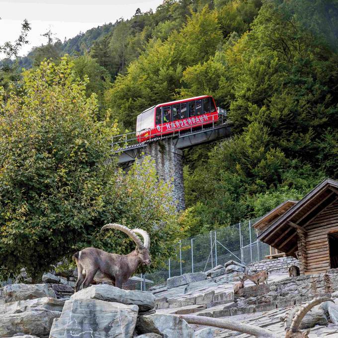 Harderbahn in Interlaken startet in die neue Saison