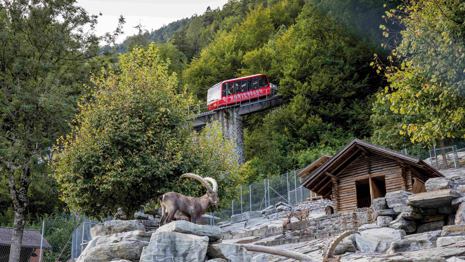 Die Harderbahn in Interlaken startet in die neue Saison.