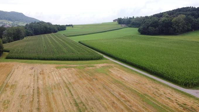 Kurznachrichten: Ranger TG, Säntis CEO,Brand, Einbrecher