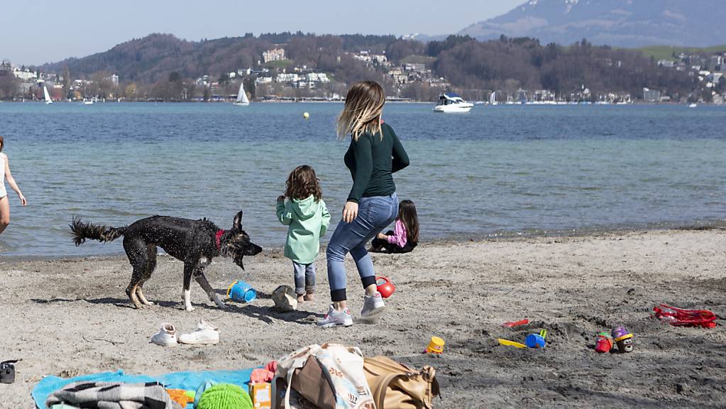 Der Seezugang in der Luzerner Ufschötti soll barrierefrei werden. (Archivbild)