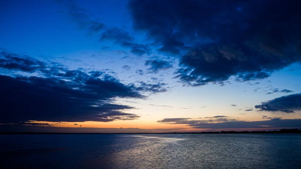 Tief unter der Meeresoberfläche leben zahlreiche Tiere. Mit einer neuen Methode können Forschende nachverfolgen, wie sie sich bewegen. (Archibvild)