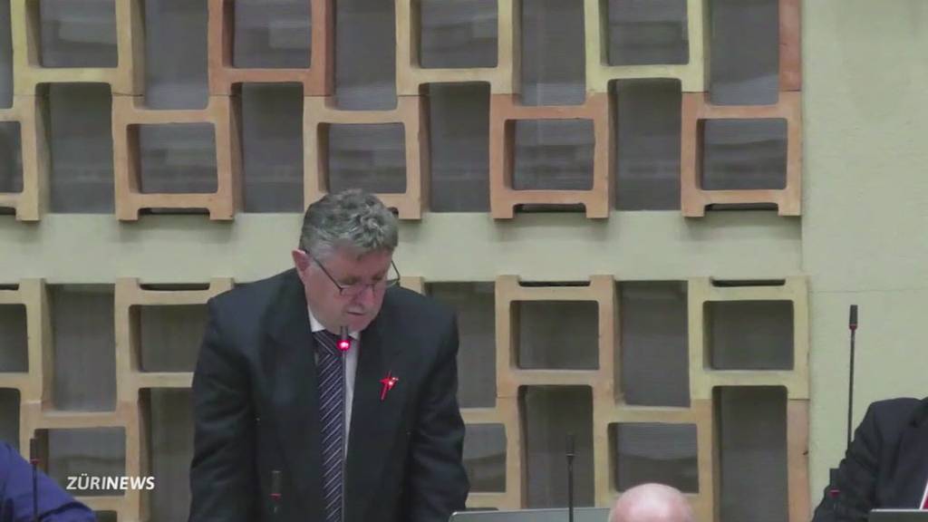 Vegane Menüs in Stadtzürcher Schulen: Hitzige Debatte im Gemeinderat