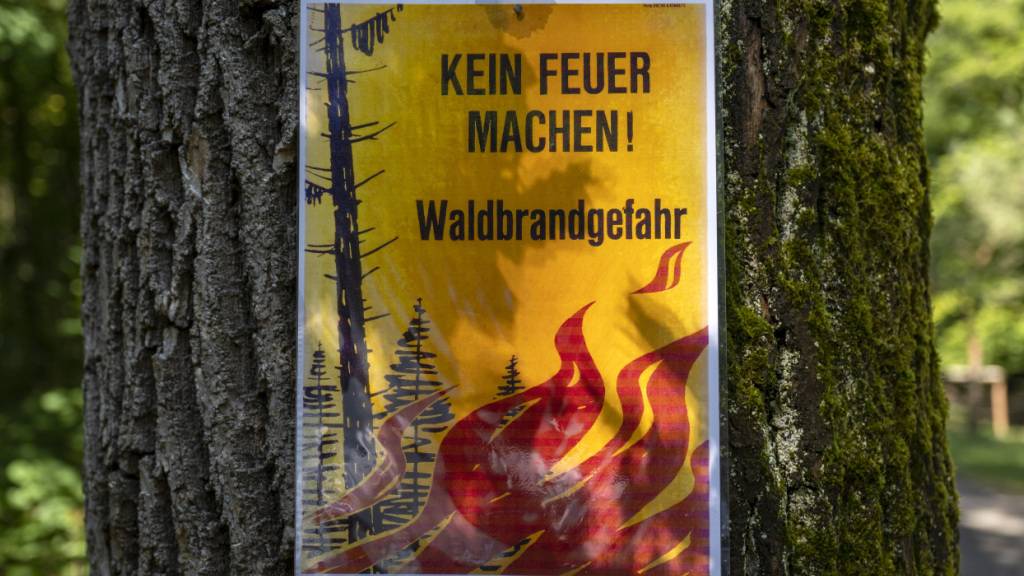 Beide Appenzell erlassen ein Feuerverbot im Wald
