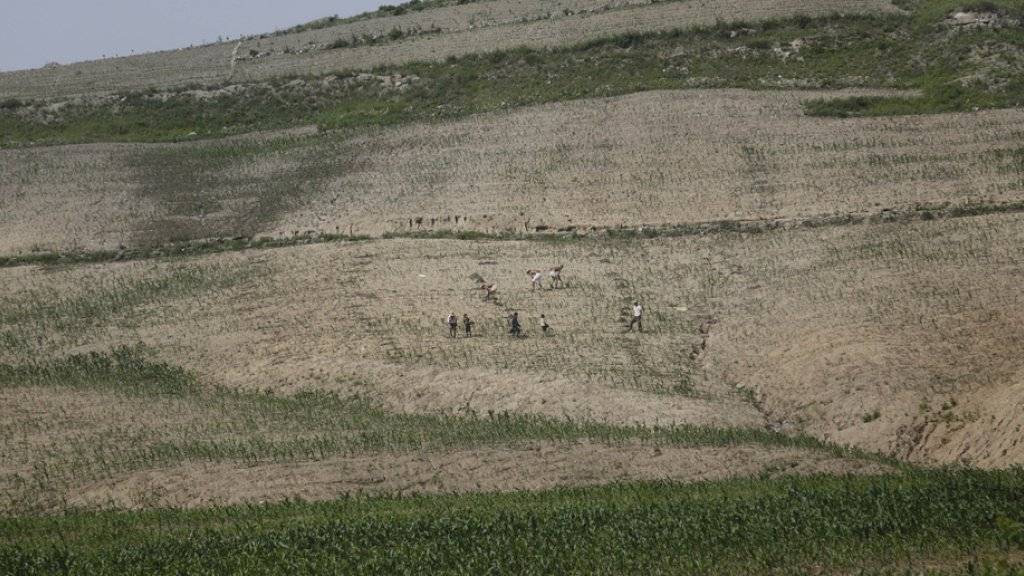 Bauern auf einem völlig ausgetrockneten Feld in Nordkorea. (Archivbild)
