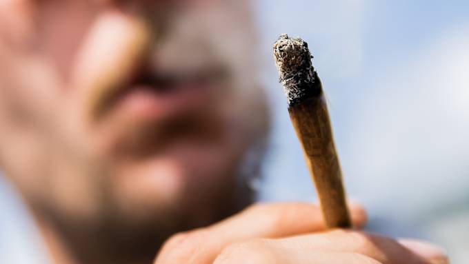 Cannabis verantwortlich für 30 Prozent der Drogentherapien – Tendenz steigend