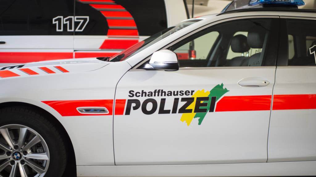 Autofahrerin verletzt sich erheblich bei Selbstunfall in Hallau SH