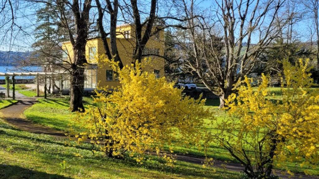 Der Park Villa Senar in Hertenstein am Vierwaldstättersee wird für die Öffentlichkeit zugänglich.