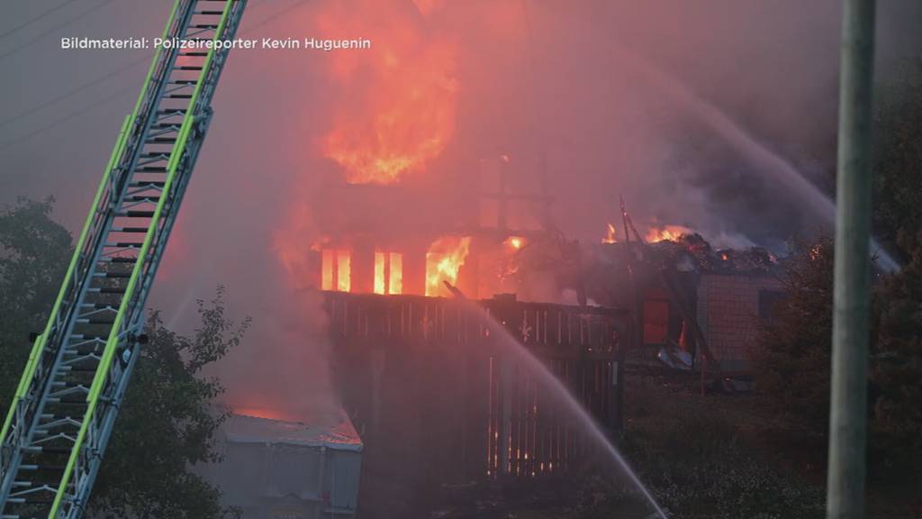 Mehrere Tiere sterben in den Flammen
