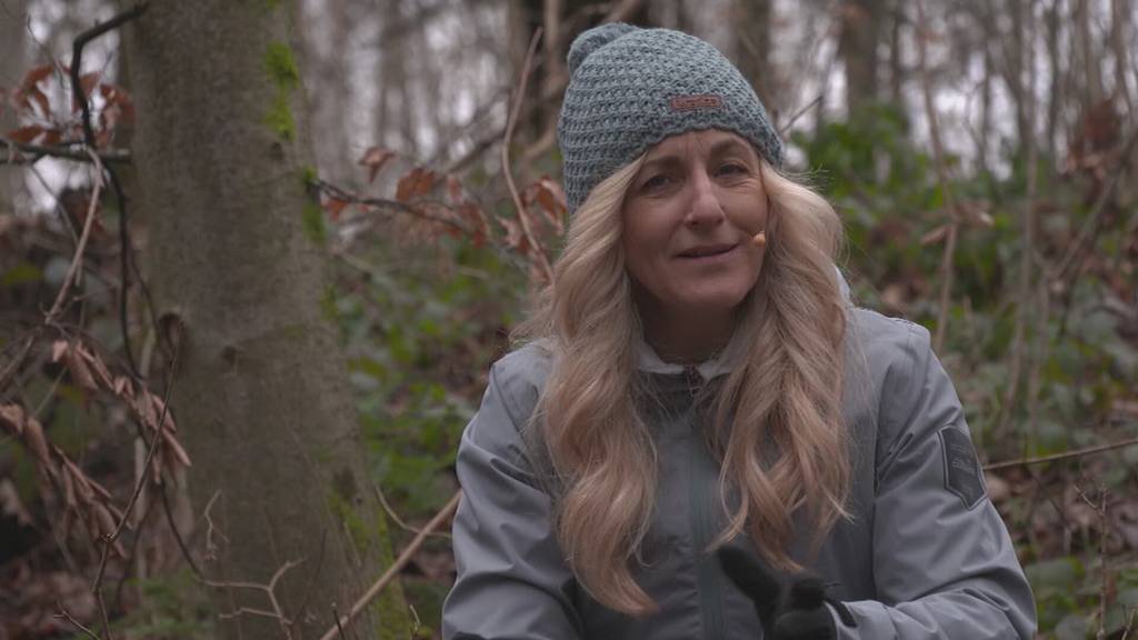 Vorschau Sendung Tierisch