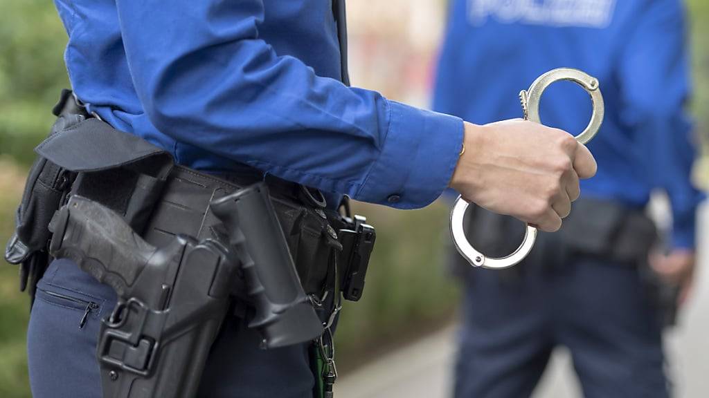 Die Polizei konnte in Luzern zwei mutmassliche Einbrecher festnehmen. (Symbolbild)