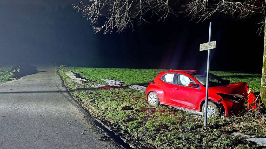 Die Fahrt des Lernfahrers wurde von einem Baum gestoppt.
