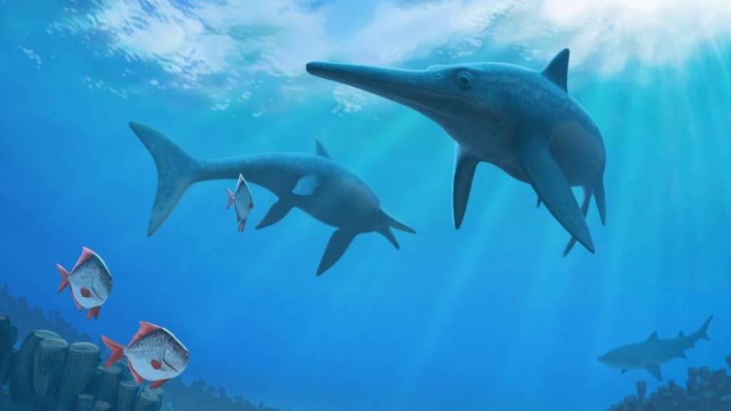 Die Delfin-ähnlichen Ichthyosaurier verschwanden vor rund 93 Millionen Jahren. Was zu ihrem Aussterben führte, haben Wissenschaftler nun ergründet.
