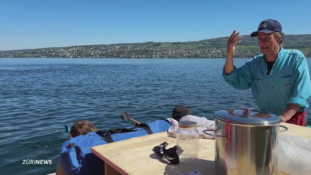 Mit selbstgebautem Floss: Eine Woche auf dem Zürichsee