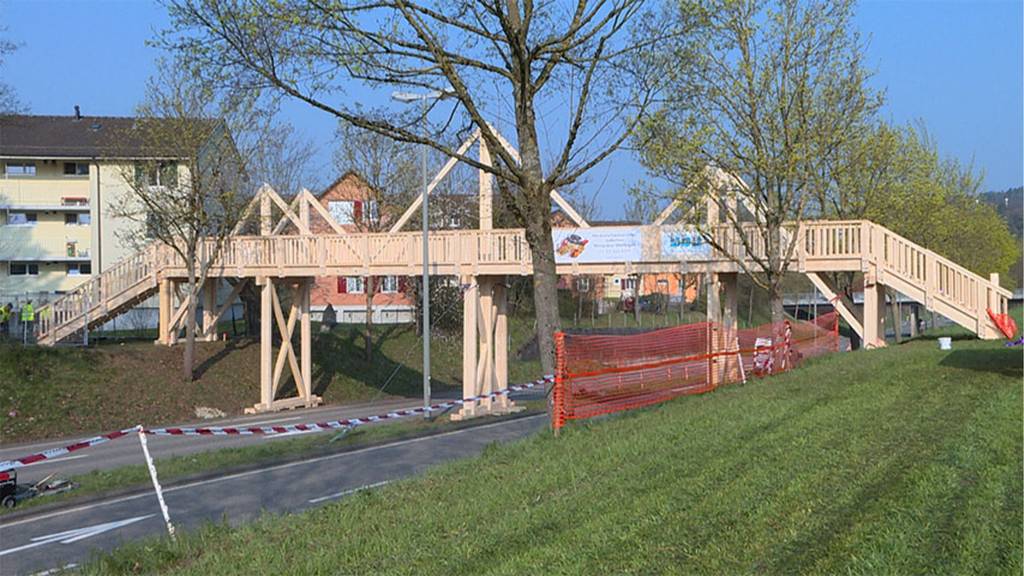 Lehrlinge bauen Holzbrücke