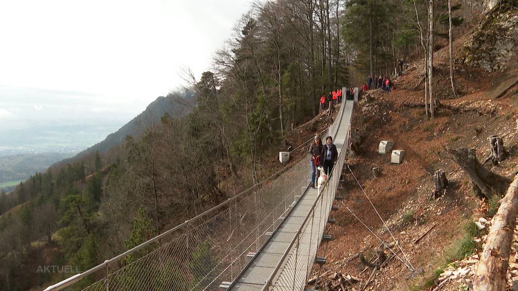 Einzigartig: Auf dem Balmberg wurde die einzige Hängebrücke im Kanton Solothurn eingeweiht