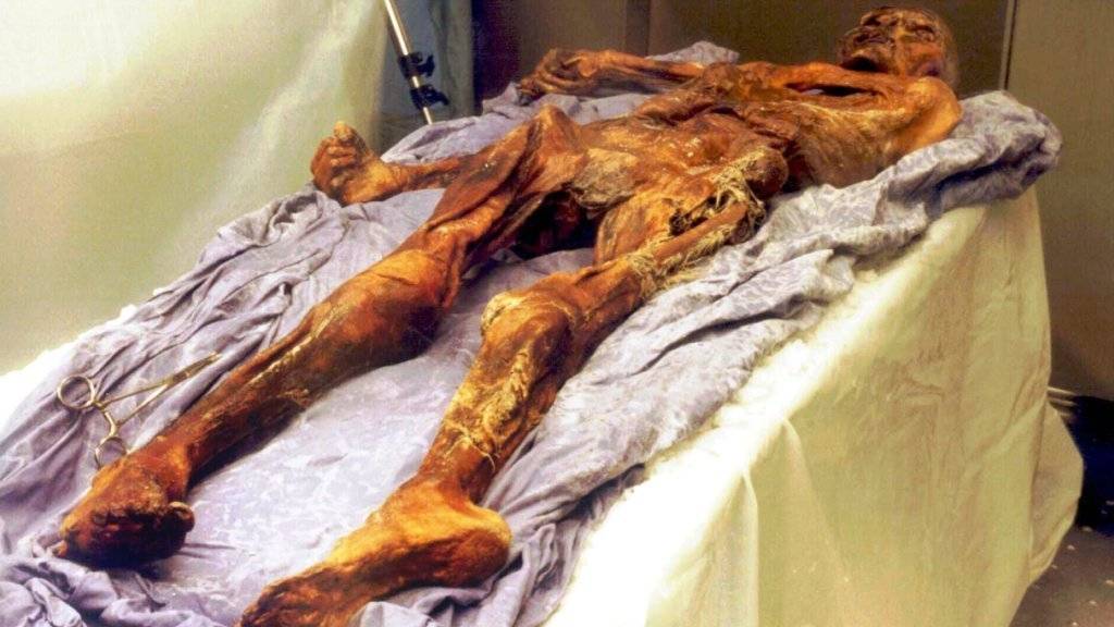 Die etwa 5300 Jahre alte Gletschermumie Ötzi gibt mehr und mehr seiner Geheimnisse Preis. Forscher haben sich nun mit seiner genetischen Geschichte befasst. (Archiv)