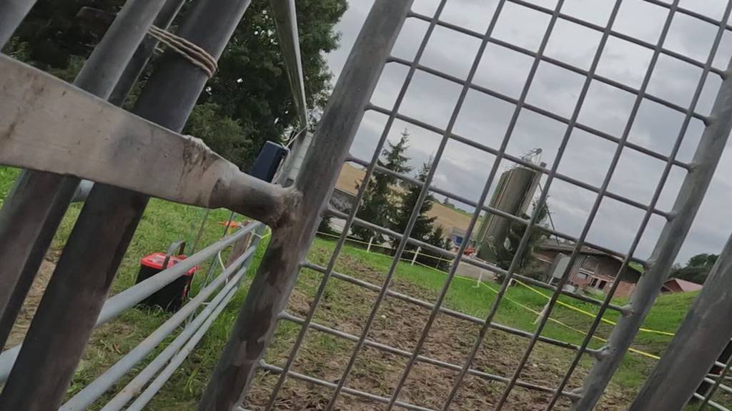 Ende einer Ära: Familie Milz hört mit Trainings für Olma-Säulirennen auf