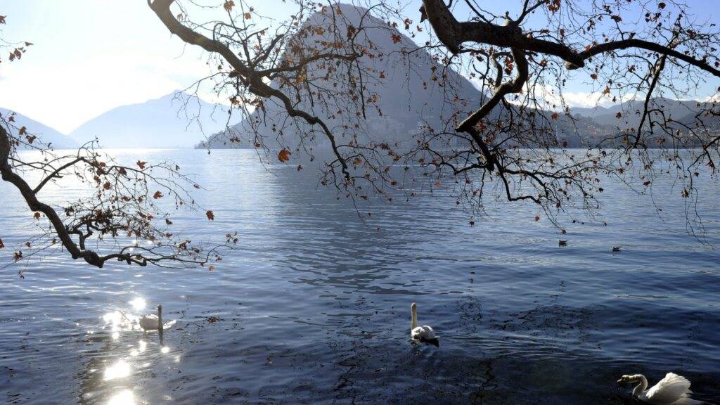 Schweiz misst erstmals in diesem Jahr über 20 Grad