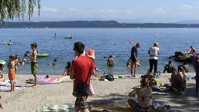 Sechs Hunde vergiftet: Nun gilt Badeverbot im Neuenburgersee