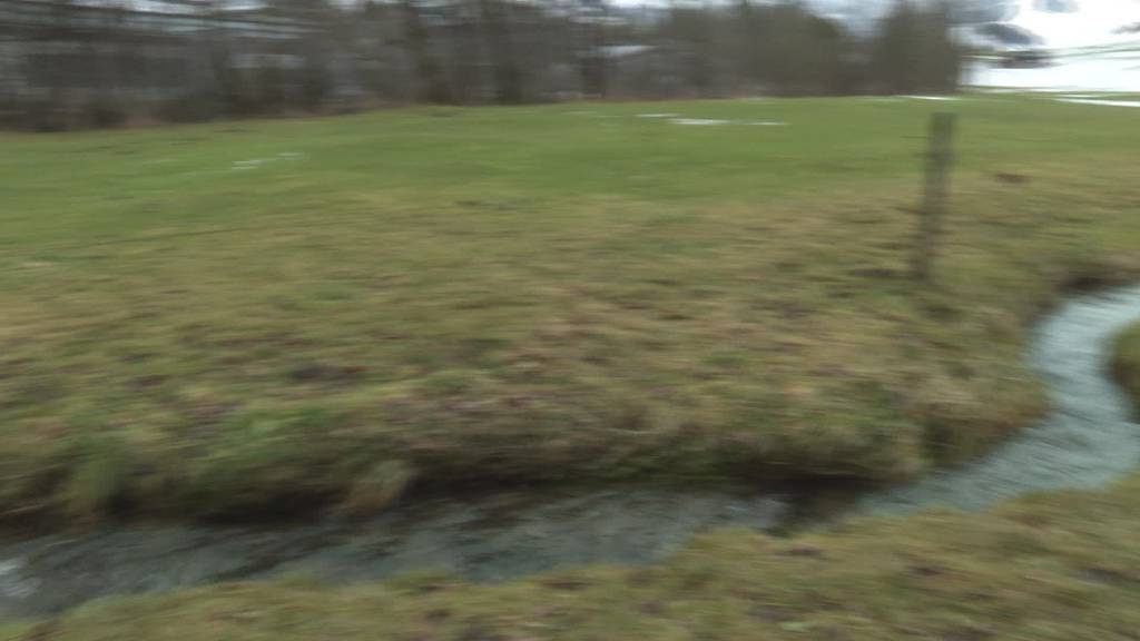 Güllentod: In Appenzell verenden hunderte Fische