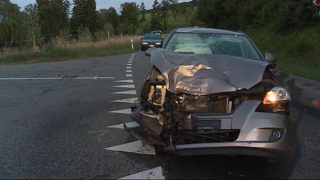 23-Jähriger über Motorhaube geschleudert