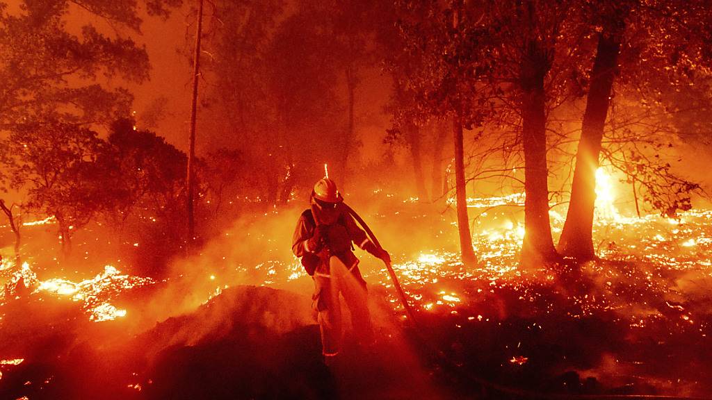 Ein Feuerwehrmann kämpft gegen ein Feuer im Mariposa County. Foto: Noah Berger/AP/dpa