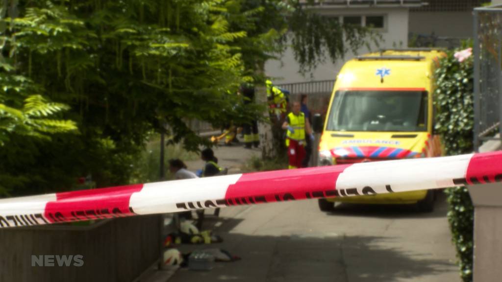 Olten: Frau wird am Aare-Ufer von Baum getroffen