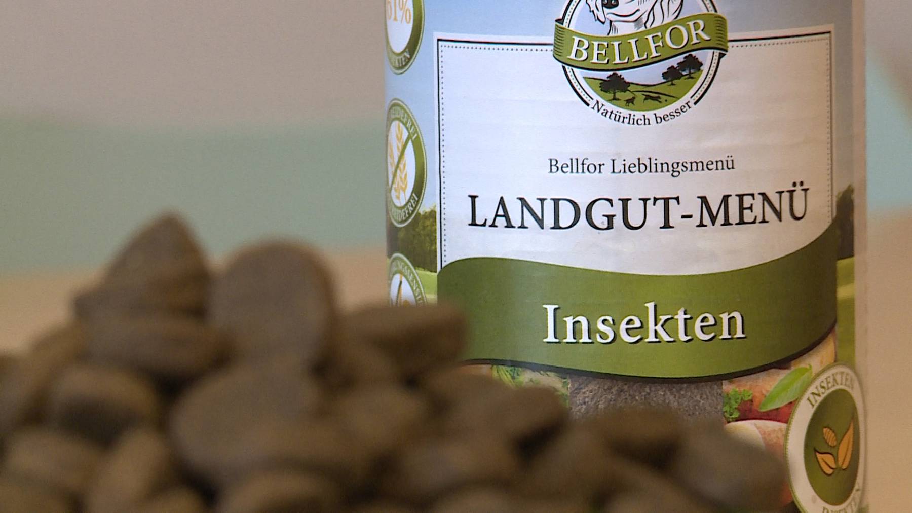 Hundefutter auf Insektenbasis