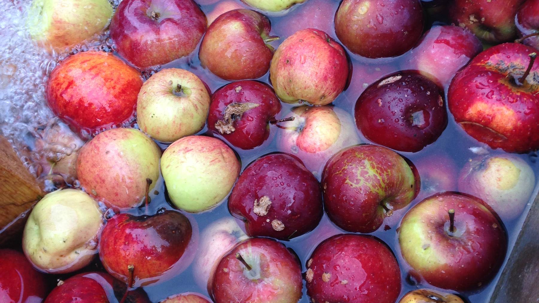 Wenn Adamsäpfel im Hals stecken bleiben