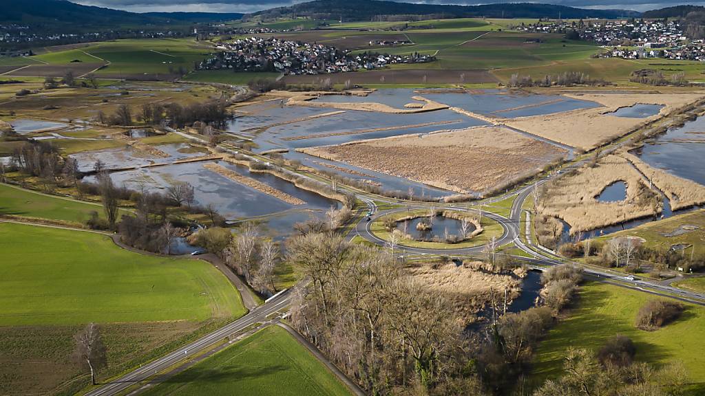 Neun von zehn Schweizer Moore in den letzten 200 Jahren zerstört