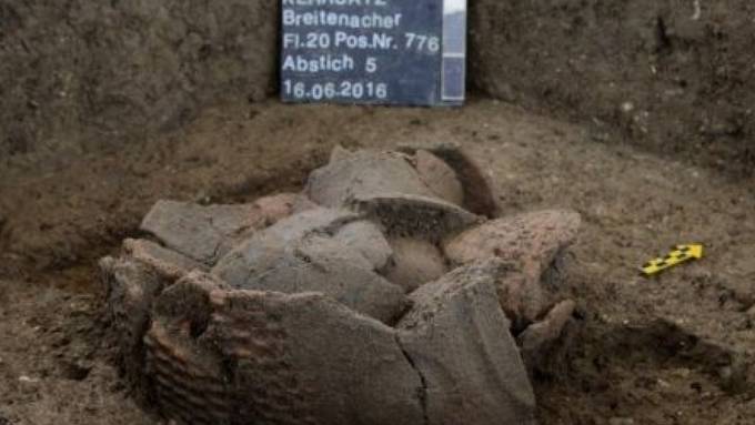 Berner Archäologen untersuchen ganzes Bronzezeit-Dorf