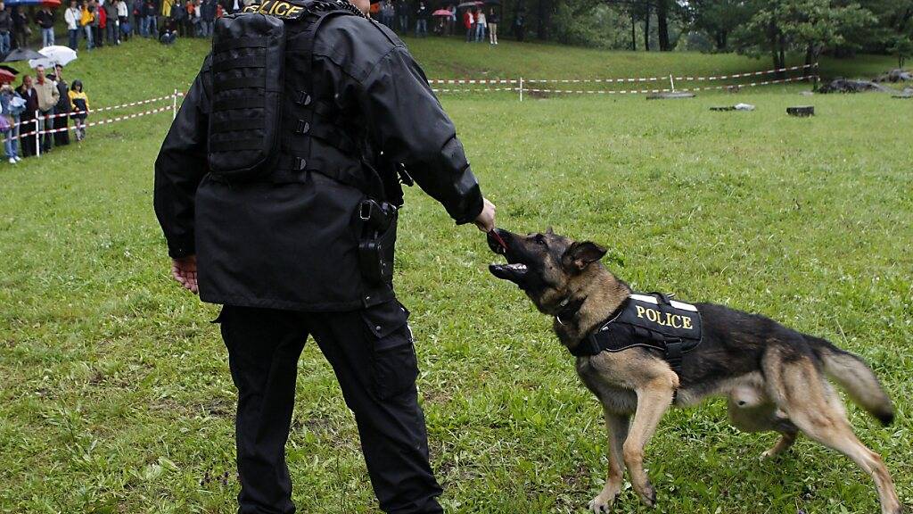 Dieses Ereignis zeigt «die Wirksamkeit von Polizeihunden in komplexen Situationen», erklärte die Walliser Kantonspolizei. (Symbolbild)