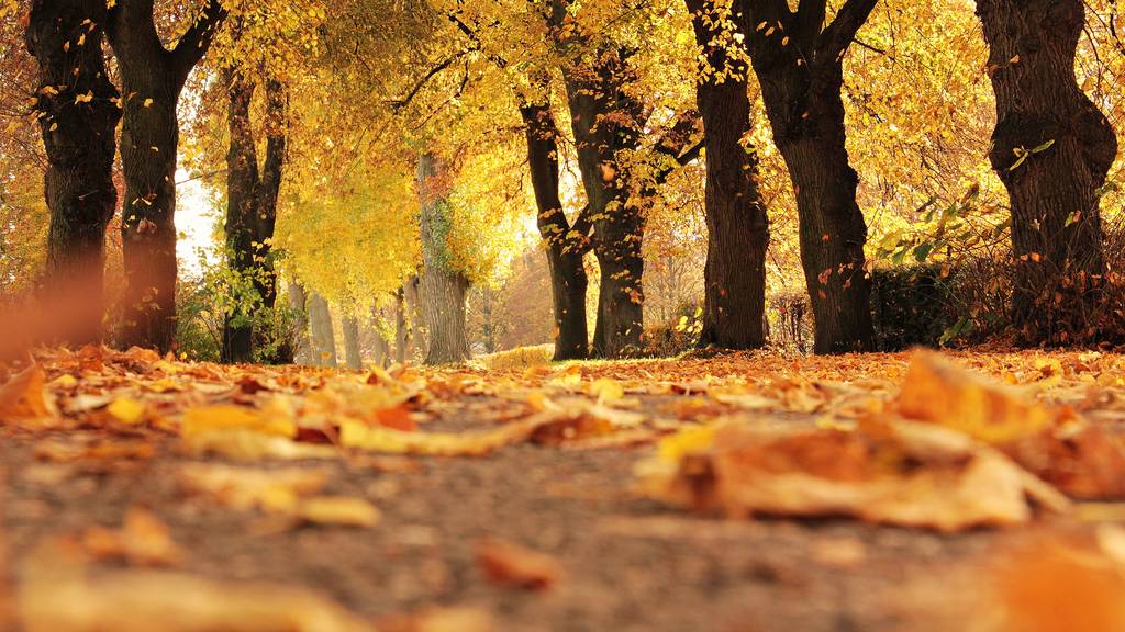 So findest du den schönsten Herbst in der Schweiz