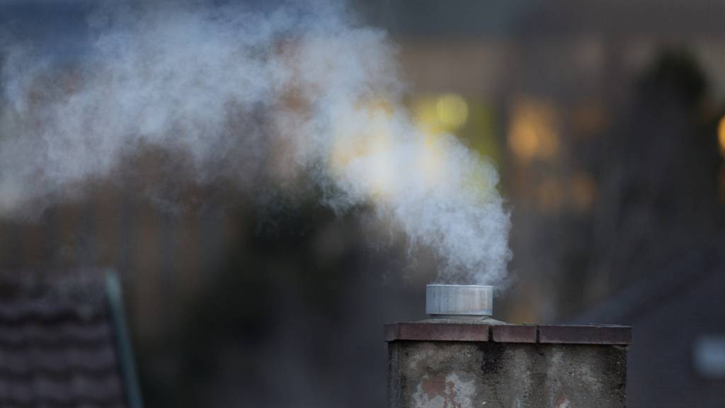 Unternehmen und Private investieren Milliarden in die CO2-Entfernung. Allerdings kommt davon erst wenig an. (Symbolbild)