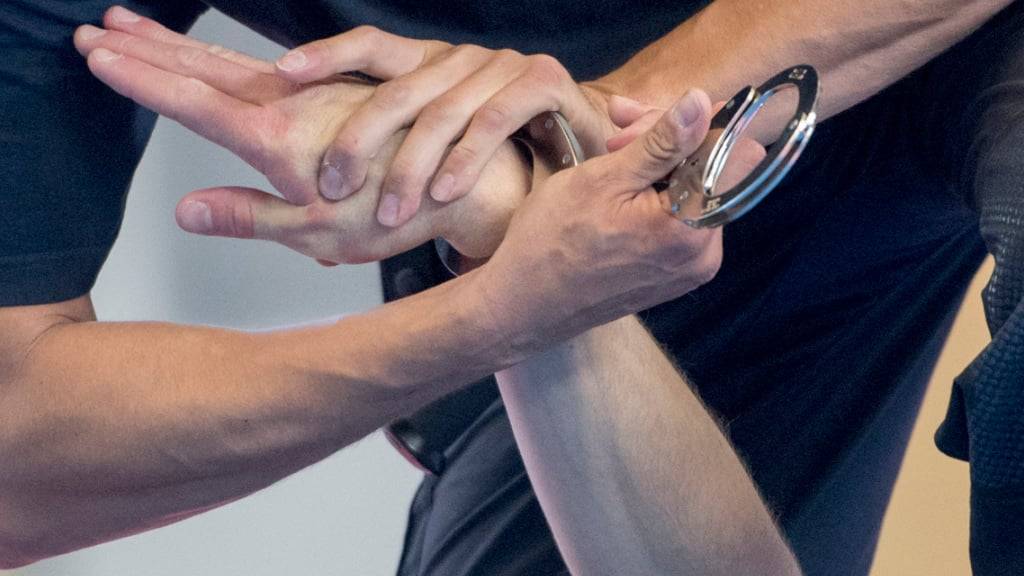 Die Luzerner Polizei konnte am Sonntagabend einen mutmasslichen Einbrecher festnehmen. (Symbolbild)