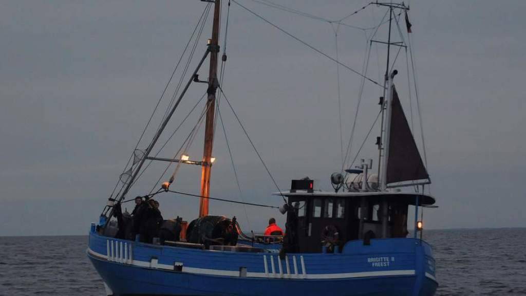 Seenotretter mussten zwei Schweizer in der Ostsee von ihrem Kutter retten, weil sie von einem giftigen Fisch gestochen wurden. (Symbolbild)