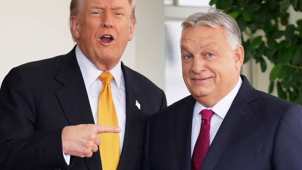 ARCHIV - US-Präsident Donald Trump (l) begrüßt Ungarns Ministerpräsident Viktor Orban im Weißen Haus. Foto: Evan Vucci/AP/dpa/Archivbild