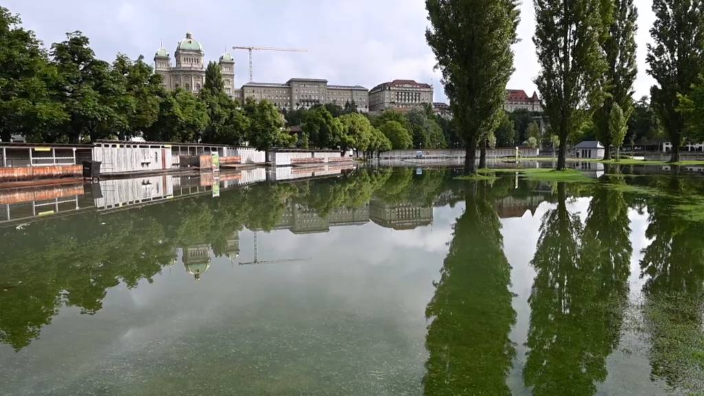 Aare Krokodil Nach Hochwasser Endlich Wieder Aufgetaucht Telebarn