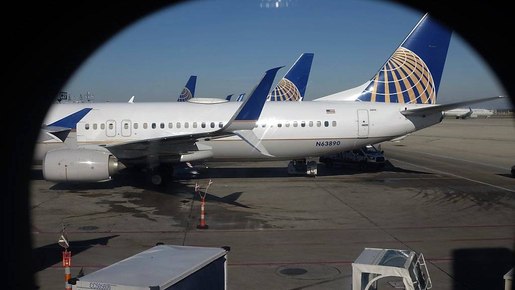An Bord eines United-Airlines-Fliegers wurde ein Hund unsachgemäss in ein Gepäckfach gepfercht - und starb. (Symbolbild)