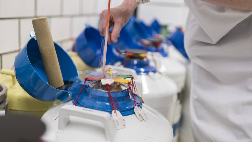Krankenkasse muss Spermienkonservierung von Transperson übernehmen